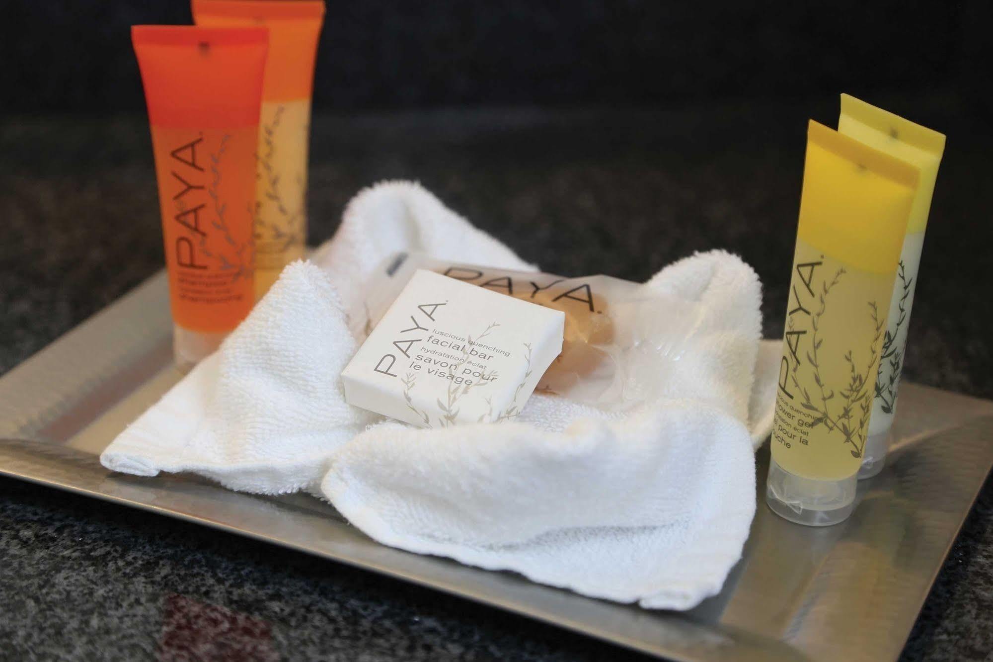 Surfbreak Virginia Beach Oceanfront, Ascend Hotel Collection Εξωτερικό φωτογραφία